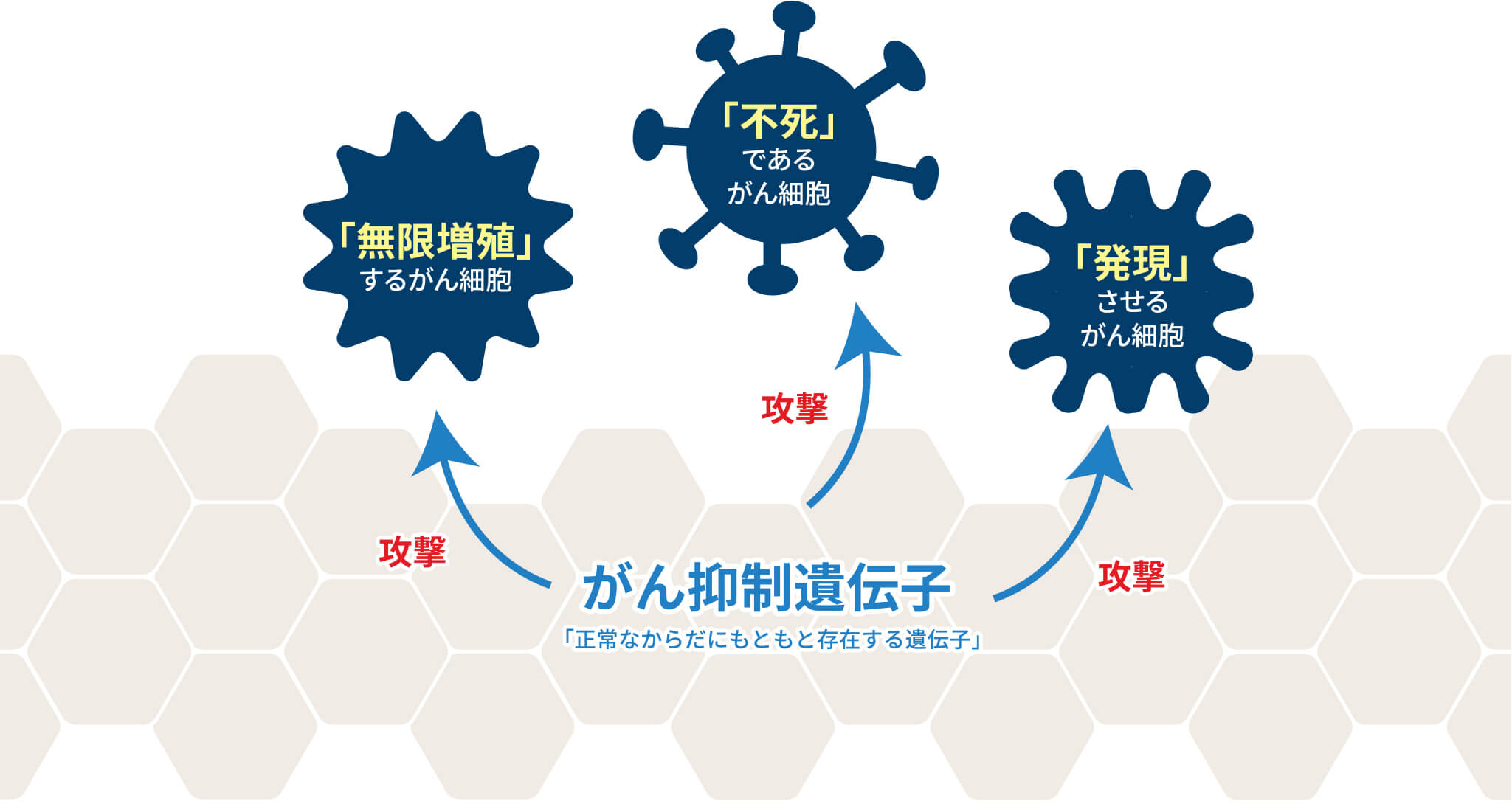 福岡天神がんクリニックの治療法とは?