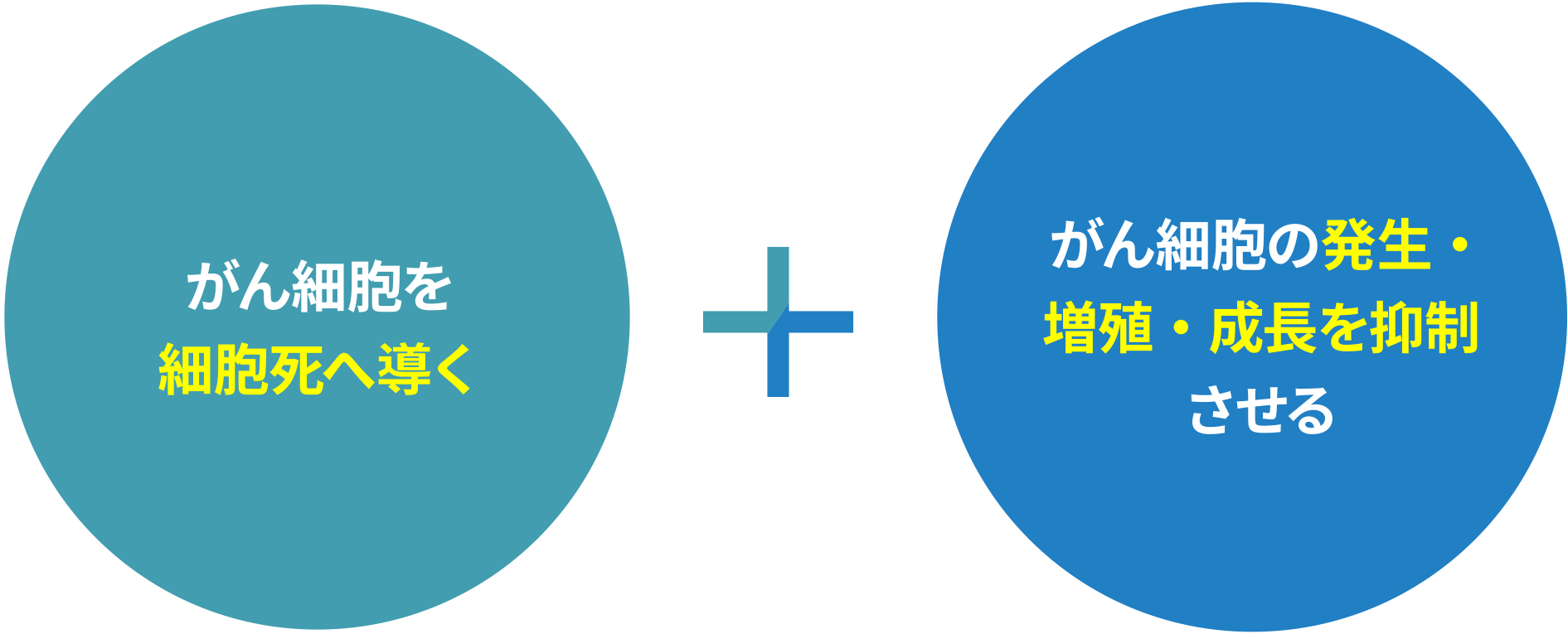 がん細胞を細胞死へ導く＋がん細胞の発生・増殖・成長を抑制させる