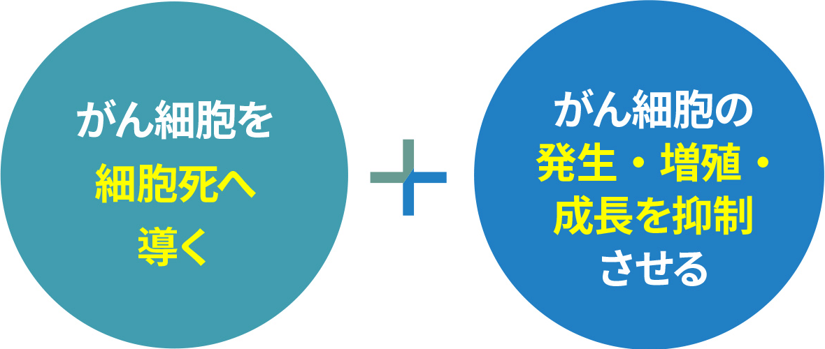 がん細胞を細胞死へ導く＋がん細胞の発生・増殖・成長を抑制させる